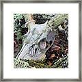 Nature's Reclamation Framed Print