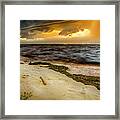 Nature's Spectacle Framed Print