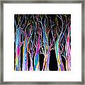 Neon Eucalyptus Bare Branches 7746 Framed Print