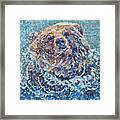 Neptune Framed Print