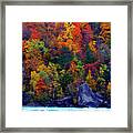 Niagara Colors- Glorious Autumn Leaves On Niagara River Shore Framed Print