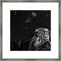 Night On Earth 19 Framed Print