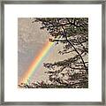 Northern Forest Rainbow Framed Print