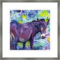 Purple Donkey Framed Print