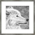 White Wolf Framed Print