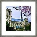 Notre Dame Before The Burn 3 Framed Print