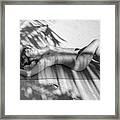 Nude Sunbathing Under The Palms Framed Print