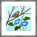 Nuthatch And Morning Glories Framed Print