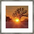 Oakset - Winter Wi Sunset Behind A Solitary Oak Tree Framed Print