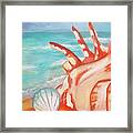 Ocean View With Seashells Imagine #3 Framed Print