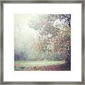 October Meadow Framed Print