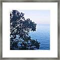 Of Water And Wood Framed Print