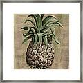 Old Fashion Pineapple 1 Framed Print