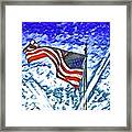 Old Glory Framed Print