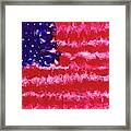 Old Glory Framed Print