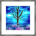 Old Growth New Growth Framed Print
