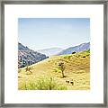 On A Trail In Hissar Valley Framed Print