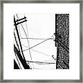 On A Wire Framed Print