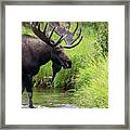 On The Move Framed Print