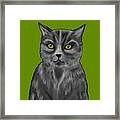 One Cute Cat Painting Framed Print