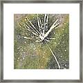 One Dandelion Seed Abstract Botanical Watercolor Painting Framed Print