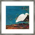 One With Nature Framed Print