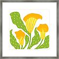 Orange Calla Lilies Framed Print