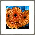 Orange Floral Framed Print