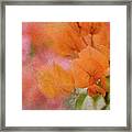 Orange Flower Burst Framed Print