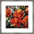 Orange Roses Too Framed Print