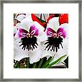 Orchid Faces Framed Print