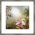 Orchids Nesting Hummingbirds And A Butterfly Framed Print