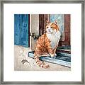 Oscar - Cat In Window Painting Framed Print