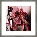 Out Of Reach Framed Print