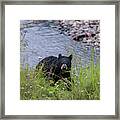 Out Of The Creek Framed Print