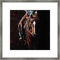 Out Of The Shadows Framed Print