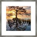 Outer Banks North Carolina Cypress Tree Sunset Landscape Obx Duck Nc Framed Print
