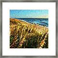 Outer Banks View Ap Framed Print