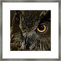 Owl Be Seeing You Framed Print