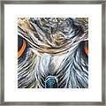 Owl Eyes Framed Print