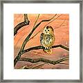 Owl Watercolor Art Framed Print