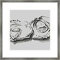 Oysters White Framed Print