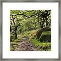 Padley Woods, Peak District, England, Uk Framed Print