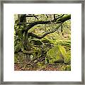 Padley Woods, The Peak District, England Framed Print