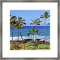 Painted Hawaiian Palms Framed Print