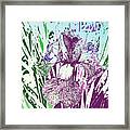 Painted Iris Framed Print