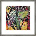 Painted Owl Framed Print