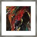 Painted Pony Framed Print