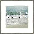 Painted Sandpipers In The Surf Framed Print
