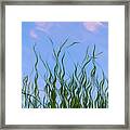 Painterly Grasses Framed Print